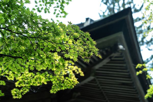 ストレッチをする人