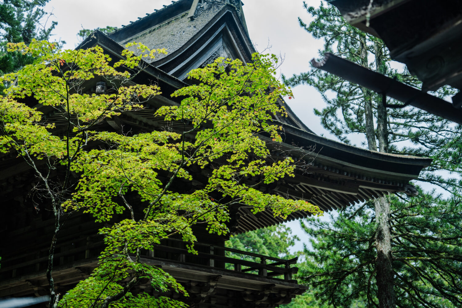 夜に輝く高野山金剛峯寺